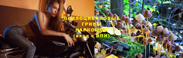 герыч Беломорск