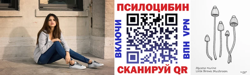 hydra ТОР  где можно купить наркотик  Гатчина  Галлюциногенные грибы MAGIC MUSHROOMS 