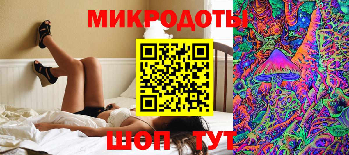 наркотики  Псилоцибиновые грибы MAGIC MUSHROOMS  Вход с VPN  Гатчина 